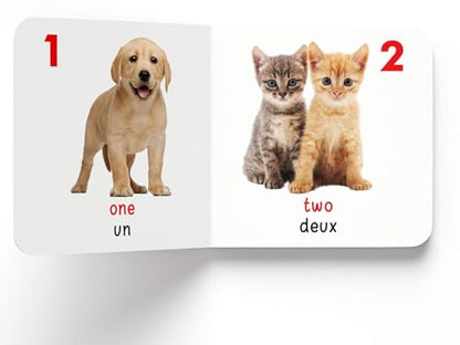 My First English-Français Learning Library (Ma première bibliothèque bilingue anglais-français) : Boxset of 10 English - French Board Books