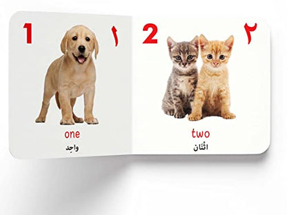 My First English-Arabic Learning Library: Bilingual Boxset of 10 Picture Board Books for Kids - Covers Basic Concepts and Everyday Topics