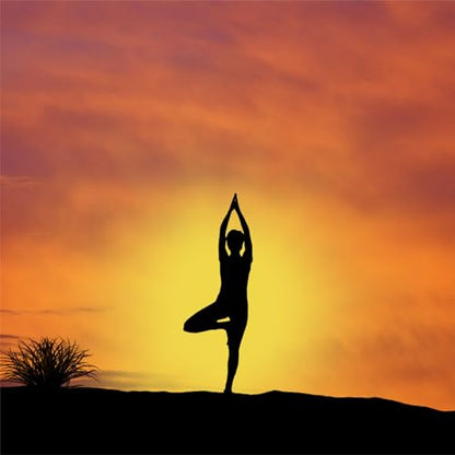 Sukhi Jivanacha Mantra Yog | Marathi Yoga Book -The Secret Mantra for a Happy Life: YOGA – A Complete Guide to Holistic Wellness, Flexibility & Mental Peace