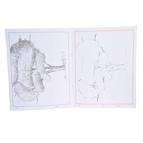 Inikao's Pencil Shading Adventures for Kids: Beginner's Guide Collection | Animals, Fruits, Nature | 4-Book Set (Step by Step Activity Book on Draw and Colouring)