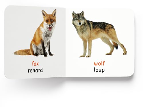 My First Book of Wild Animals - Animaux Sauvages : My First English French Board Book (English - Francais)