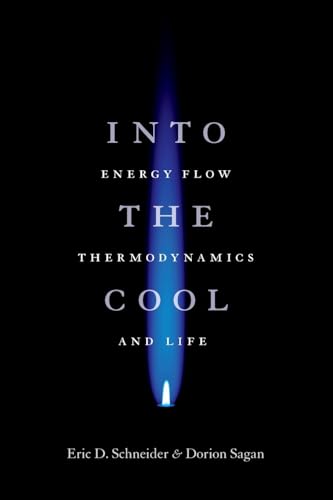 Into the Cool – Energy Flow, Thermodynamics and Life book cover