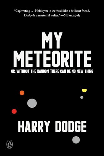 My Meteorite Or, Without the Random There Can Be No New Thing book cover