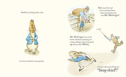 The Tale of Peter Rabbit Picture Book