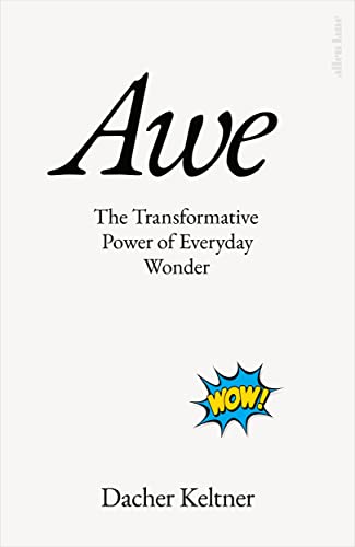 Awe book cover