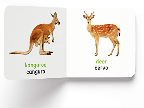 My First Book of Wild Animals - Animali Selvatici : My First English Italian Board Book (English - Italiano)