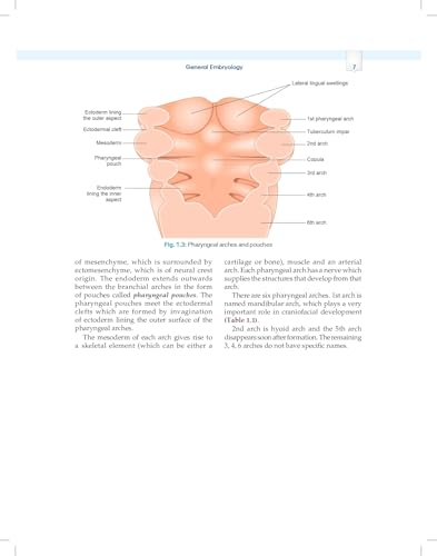 Essentials of Oral Biology 3ed. (PB 2026)
