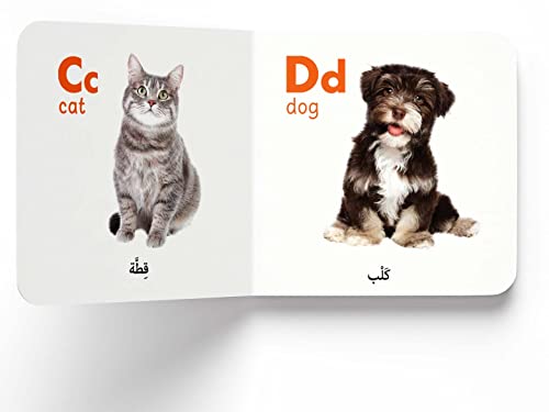 My First English-Arabic Learning Library: Bilingual Boxset of 10 Picture Board Books for Kids - Covers Basic Concepts and Everyday Topics