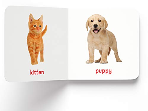 My First Book of Baby Animals | First Animal Board Book for Babies, Toddlers & Preschoolers | Learn About Cute Baby Animals with Bright, Adorable Pictures | Early Learning Book for Kids Ages 0-3 Years