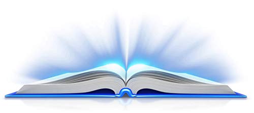 IDRIS book cover