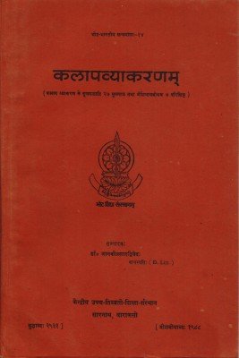 Brain Ageing and Ayurveda  book cover