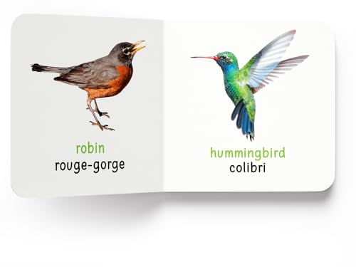 My First Book of Birds - Oiseaux : My First English French Board Book (English - Francais)