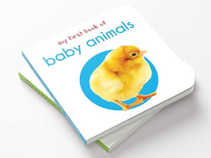 My First Book of Baby Animals | First Animal Board Book for Babies, Toddlers & Preschoolers | Learn About Cute Baby Animals with Bright, Adorable Pictures | Early Learning Book for Kids Ages 0-3 Years
