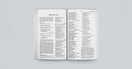 ESV ECONOMY BIBLE NEW ED