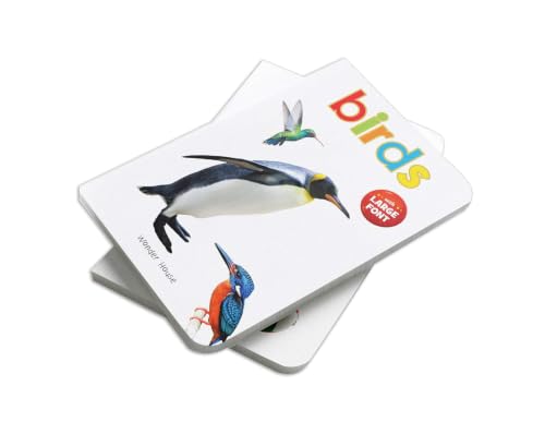 Birds – Early Learning Board Book with Large Font: Brightly Illustrated Bird Recognition Book for Kids | Big Board Books Series for Babies, Toddlers & Preschoolers | Learn About Sparrows, Parrots, Peacocks & More with Bold Text | Ages 0–5 Years