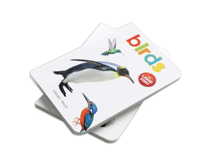 Birds – Early Learning Board Book with Large Font: Brightly Illustrated Bird Recognition Book for Kids | Big Board Books Series for Babies, Toddlers & Preschoolers | Learn About Sparrows, Parrots, Peacocks & More with Bold Text | Ages 0–5 Years