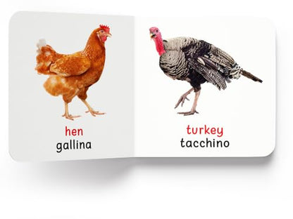 My First Book of Farm Animals & Pets - Animali Della Fattoria E Cuccioli: My First English Italian Board Book (English - Italiano)