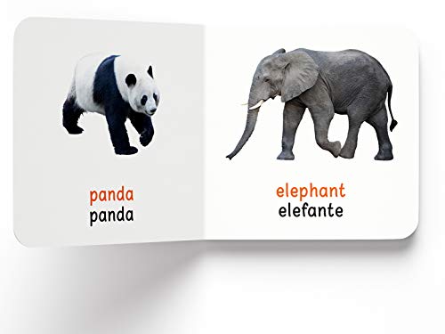 My First Book of Wild Animals - Animales Salvajes : My First English Spanish Board Book (English - Español)