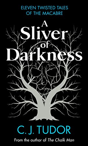 A Sliver of Darkness book cover
