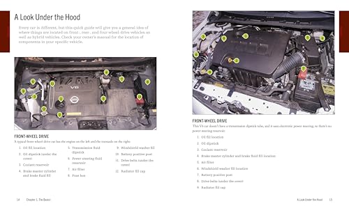 Auto Repair & Maintenance for Beginners