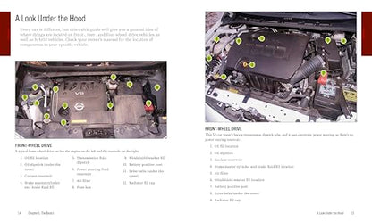 Auto Repair & Maintenance for Beginners