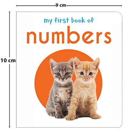 My First Book Of Numbers | First Number Board Book For Babies, Toddlers & Preschoolers | Early Counting Book With Bright Pictures | Learn Numbers 1-10 | For Kids Ages 0-3 Years