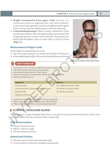 Inderbir Singh's Textbook of Human Osteology with Atlas of Muscle Attachments, 5/E for MBBS 1st Year Students | CBME-aligned Bone-by-Bone Atlas with Muscle, Ligament Tables and Viva Questionnaire
