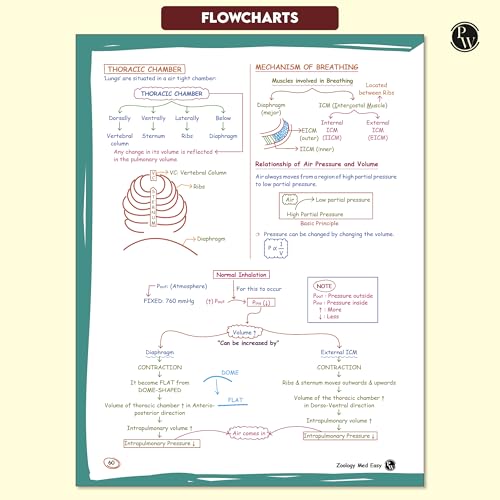 PW Med Easy Zoology 2.0 and Botany Handwritten Notes Combo Set of 2 Books For NEET and Board Exams 2025-26 | Flowcharts, Mnemonics, Diagrams | NCERT Unit Overview