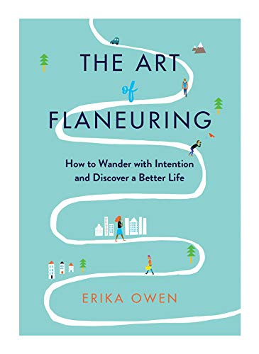 The Art Of Flaneuring book cover