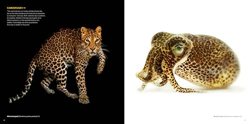 National Geographic The Photo Ark: One Man's Quest to Document the World's Animals