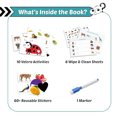 Little Minds at Work Toddler Busy Binder Activity Book for Kids 1 - 4 Years | 16 Reusable Early Learning Preschool Montessori Activities | Travel-Friendly, Screen-Free Educational Toy