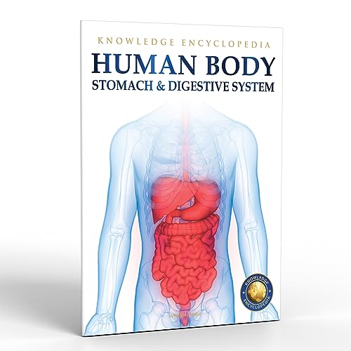 Human Body - Stomach And Digestive System: Knowledge Encyclopedia For Children book cover
