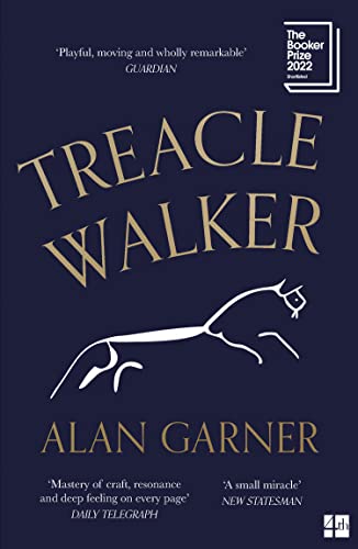 TREACLE WALKER book cover