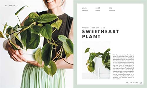 Leaf Supply