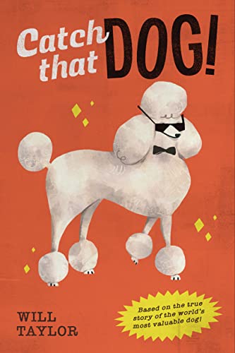 Catch that Dog! book cover