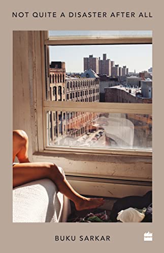 Not Quite a Disaster after All book cover