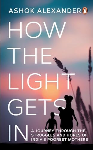 How The Light Gets In book cover