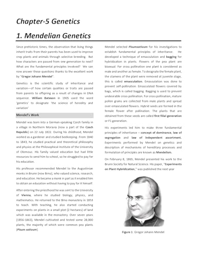 IIT JAM Biotechnology Books 2027 (Vol 3) | Complete Theory Book for Genetics, Microbiology & Techniques | Best for IIT JAM, GAT-B, CUET(PG), TIFR & All MSc Entrance Exams | IFAS
