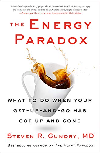 The Energy Paradox : What to Do When Your Get-Up-and-Go Has Got Up and Gone book cover