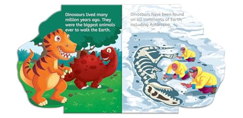 Animals - Shaped Books - Pack of 5