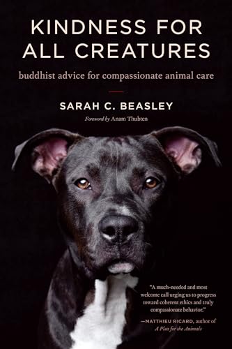 Kindness for All Creatures book cover