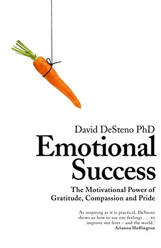 Emotional Success book cover
