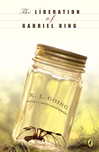 The Liberation of Gabriel King book cover