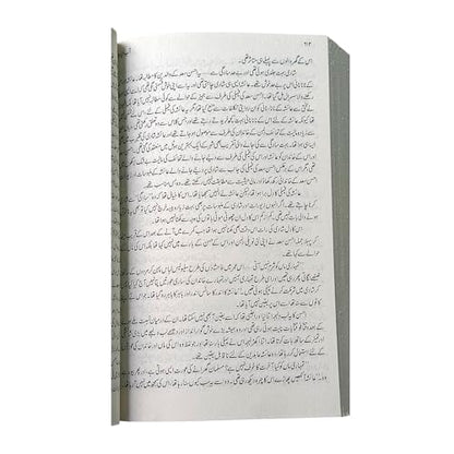 Peer e kamil, Aabe Hayat, Jannat ke patte Urdu novels (Pack of 3)