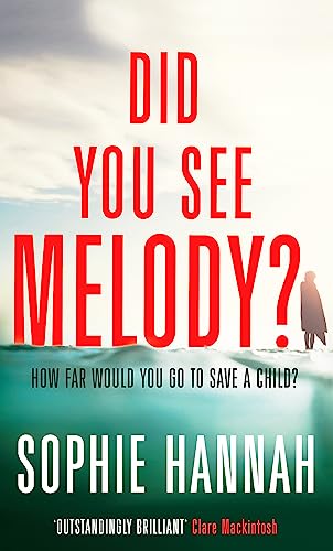 Did You See Melody? book cover