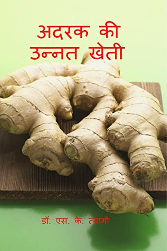 Improved Cultivation of Ginger book cover