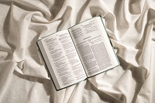 Nlt Premium Value Thinline Bible, Filament Enabled Edition (Leatherlike, Bouquet Teal): New Living Translation, Bouquet Teal, Leatherlike, Premium Value Thinline Bible, Filament Enabled Edition