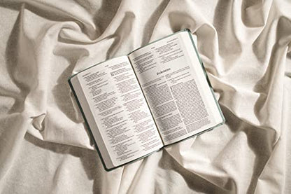 Nlt Premium Value Thinline Bible, Filament Enabled Edition (Leatherlike, Bouquet Teal): New Living Translation, Bouquet Teal, Leatherlike, Premium Value Thinline Bible, Filament Enabled Edition