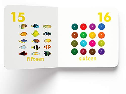 My First Book Of Numbers | First Number Board Book For Babies, Toddlers & Preschoolers | Early Counting Book With Bright Pictures | Learn Numbers 1-10 | For Kids Ages 0-3 Years