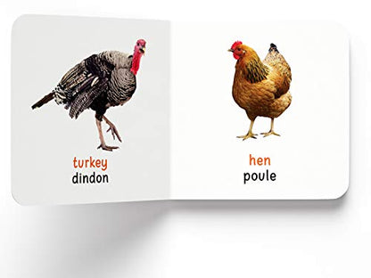My First Book of Birds - Oiseaux : My First English French Board Book (English - Francais)
